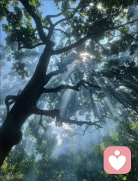 深夜反复内耗、睡不着？试试这3个不费力的小方法

不知道你有没有过这种时刻：
明明已经躺到床上了，脑子却停不下来，
翻来覆去全是没解决的事、没说出口的话，
越想越焦虑，越焦虑越睡不着，天亮了才发现，一整晚都在跟自己打架。
 
其实很多时候，困住你的不是问题本身，是脑子里停不下来的“反刍”。
分享3个我自己也在用、给很多朋友试过都有效的小方法，不用工具，躺着就能做：
 
1. “3分钟白噪音呼吸法”：找一个固定的白噪音（雨声/海浪声都行），跟着声音的节奏吸气4秒、屏息2秒、呼气6秒，把注意力强行拉回“当下的呼吸”，而不是脑子里的事。
2. “大脑卸载术”：拿一张纸，把脑子里所有乱糟糟的想法，不管是抱怨、计划还是纠结，全部写下来，写完就合上本子，告诉自己“今天的事，明天再处理”，给大脑一个“可以停止思考”的信号。
3. “感官锚定法”：如果又开始陷进情绪里，就摸一摸被子的质感、闻一闻枕头的味道、感受一下床单的温度，把注意力拉回“身体的感受”，而不是情绪里。
 
如果这些方法你试了还是觉得很煎熬，或者不知道怎么停止脑子里的循环，也可以找我聊聊，我会陪你慢慢梳理，不用硬撑着自己扛。