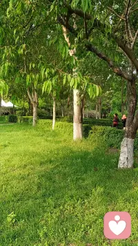 关系运营的核心:借力而非对抗。
无论是亲密关系，职场关系，还是朋友关系，
都应该保持“职业化的尊重与维护”，
把对方当做“优质人脉”经营。
优秀者是你的贵人，而不是对手，
拥抱他们，让自己的人生更广阔。配图