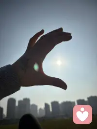 喜欢鹦鹉吗配图