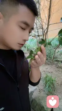 倾听着你的喜怒哀乐，陪你走过低谷配图
