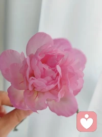 沉默不是认输或懦弱，而是看清现实后的清醒，是放过彼此的体面。‌‌‌
若无共鸣，沉默即安。配图