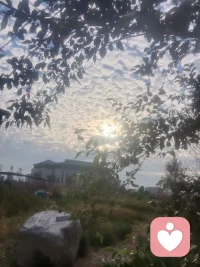 成年人的世界，大多都在硬撑，习惯把情绪藏在心底，人前故作从容坚强，人后独自消化所有委屈、焦虑、内耗与迷茫，生活的压力、感情的困扰、无人理解的孤独、说不出口的心酸，层层堆积在心里，找不到合适的人倾诉，也不敢轻易展露脆弱，怕被评判、怕被敷衍、怕不被共情，慢慢学着沉默自愈。而我，愿意做你专属的倾听师，做你安静又安全的情绪树洞，在这里没有评判、没有说教、没有指责，我会耐心聆听你的所有心事，接纳你所有的负面情绪与不完美，包容你的敏感、脆弱与纠结，你可以卸下所有伪装，不用懂事、不用逞强，放心诉说日常烦恼、情感遗憾、内心困惑或是压抑已久的情绪，让积压已久的心事有处安放，让紧绷的情绪得到温柔释放。生活本就步履匆匆，不必一个人扛下所有，我始终在这里，以温柔的陪伴、用心的倾听，接住你的万般情绪，陪你梳理思绪、缓解内耗，给你一份安心的治愈与温暖，陪你慢慢和解，好好安放自己。配图