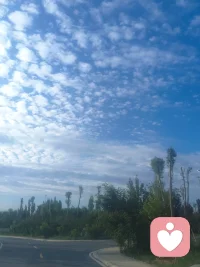 成年人的世界，大多都在硬撑，习惯把情绪藏在心底，人前故作从容坚强，人后独自消化所有委屈、焦虑、内耗与迷茫，生活的压力、感情的困扰、无人理解的孤独、说不出口的心酸，层层堆积在心里，找不到合适的人倾诉，也不敢轻易展露脆弱，怕被评判、怕被敷衍、怕不被共情，慢慢学着沉默自愈。而我，愿意做你专属的倾听师，做你安静又安全的情绪树洞，在这里没有评判、没有说教、没有指责，我会耐心聆听你的所有心事，接纳你所有的负面情绪与不完美，包容你的敏感、脆弱与纠结，你可以卸下所有伪装，不用懂事、不用逞强，放心诉说日常烦恼、情感遗憾、内心困惑或是压抑已久的情绪，让积压已久的心事有处安放，让紧绷的情绪得到温柔释放。生活本就步履匆匆，不必一个人扛下所有，我始终在这里，以温柔的陪伴、用心的倾听，接住你的万般情绪，陪你梳理思绪、缓解内耗，给你一份安心的治愈与温暖，陪你慢慢和解，好好安放自己。配图