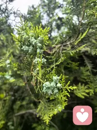 下雨天，总有一把伞是为你撑开的💕配图