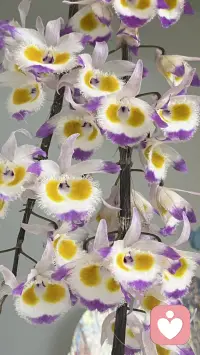 不用假装坚强，不用勉强微笑。在这里可以卸下所有防备，我安静倾听、不评判、不打断，陪你治愈所有情绪🌿配图