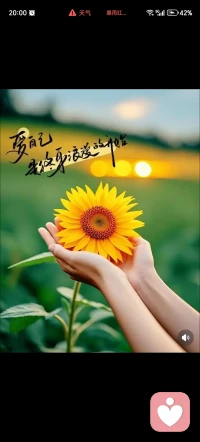 “爱自己，是终身浪漫的开始。” 手心里捧着的这朵向日葵，就像捧着一整个向阳而生的自己。我们总忙着奔赴别人的期待，却忘了把温柔先留给自己。从今天起，学着像它一样，永远朝着光亮生长，接纳不完美，拥抱每一个瞬间的自己。爱自己，才是这趟人生里，永不落幕的浪漫。🌻配图