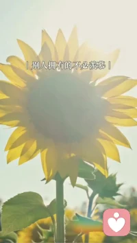 不要用别人的标准，绑架自己的人生
过度敏感、习惯性内耗、总在意别人眼光
都是在消耗自己的心力
 
往后余生，取悦自己才是终身浪漫
减少内耗，降低期待，专注自己配图