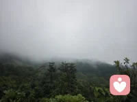 时间不语，但是会给你你最好的答案！生活从不是你现在看到的一面，而是多姿多彩的，走出来，多看看，不要把自己困在自己的牢笼里！