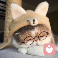 希望更够给陌生的你带去暖心的感觉，人生苦短，但人间值得，没有什么比开心更重要的事情！亲爱的你祝你五一快乐配图