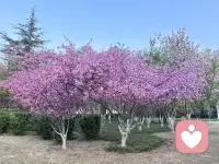 再见容易，再见难！配图