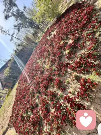 最近上班这点作呕，可能接单接的自己没有出口吧，非诚勿扰