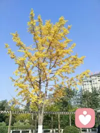 公开招标你们的来访。