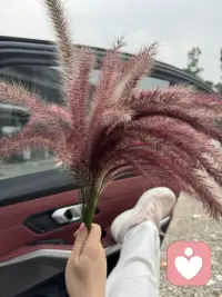 再没有比让自己开心更重要的事情