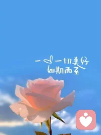 在这个快节奏的时代，给自己的心灵留一片净土，让它自由呼吸。配图