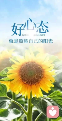 与压力共舞，但不为其所困。舞动心灵，让心理健康成为生活的节拍配图