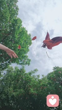 不用怕自己的情绪是“多余的”。哪怕是一片飘向天空的落叶，也值得被认真看见。配图