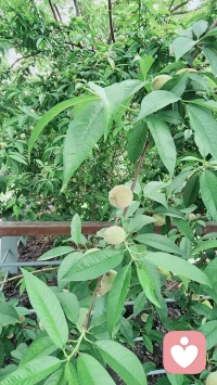不用伪装 不必逞强
你所有的疲惫和难过
都可以毫无保留倾诉
我会认真接住你所有的负能量
做你情绪里最温柔的退路配图