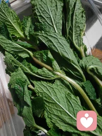 正心正念做人做事，心善自带三分天护配图