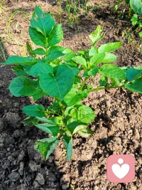 不想身边围满“嗡嗡嗡”的蜜蜂，那就别穿包臀裙、小短裙、露肩上衣了。你以为是“风情万种”，在有的人眼里那就是“我很好撩，欢迎大胆询价”。

美照少晒，尤其那种“今晚月色真美，风也温柔，我也没穿多少”的。

说难听点，这玩意儿叫“廉价性张力”——专门吸引那种看三秒就想加微信、五秒就想约夜宵的“大聪明”。配图