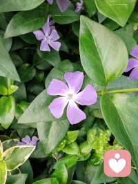 女孩别整天晒奶茶、火锅、打卡照
底层逻辑：越沉迷廉价快乐的人，越容易满足、越不想努力、越想躺平。

你天天晒“今天又喝了三杯奶茶”、“周末又在躺平吃炸鸡”，在聪明人眼里那不是小资，是“这人时间不值钱，人生也没啥奔头”。

年轻人不拼一把，难道等老了再拼拼图？配图