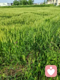 把心打开一条缝，
让光进来，也让雨进来。
接纳所有的晦暗与明亮，
接纳每一种情绪的来与去。
不急着赶路，也不急着痊愈。
慢一点，静一点。
我在这里，陪着你，
等你走向你自己配图