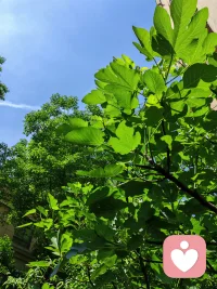世间最难的修行，不在深山，在亲子之间。

父母不是不爱，是他们从未被爱浇灌过，掏空了行囊，也拿不出孩子想要的那一份暖。

而孩子却像春天里的苗，没有阳光，就会弯着腰长大。

这是一个无解的矛盾——一个给不出，一个非要要。

唯一的出路，是父母先回头，去学那门自己从未上过的课：如何去爱。

父母多走一步，孩子就少疼一生。