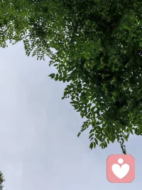 接触的人多了，路走远了，心就被撑大了。像一条河，流过了山川平原，见过狭窄也见过开阔，自然就慢下来、静下来，不再急着喧哗。

而那些一直困在浅滩里的水，没见过风浪，也不曾与别的水交汇，便误以为自己就是全世界。他们不懂柔软，也不肯低头，更不知道，这世上有千万种活法，每一种都值得被看见。

走万里路的人，懂得弯腰。困在方寸之间的人，连点头都学不会。这不是高下，是命里见过的东西，不一样。