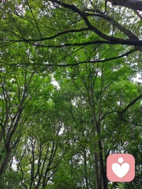 若连此刻的风都感受不到温柔
那此后的千山万水
无论到了何处，都是流浪

心若定了，当下即是归处
心一直悬着，到哪里都找不到归宿