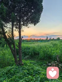 人生是旷野
没有人能定义你该怎么活
你可以是树，也可以是草

追风时，你是风
伫立时，你是山

你转身，你回望
身后的每一步，
都是你自己写下的诗篇配图
