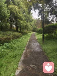 路难走没关系，慢慢来就好；
心事多没关系，有人倾听就好。
愿我们都能和生活温柔和解，
一半烟火，一半诗意，一生安稳顺遂🌙
