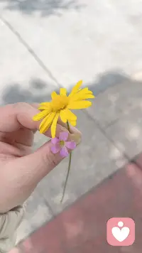 不必太完美，做自己就很好，加油配图