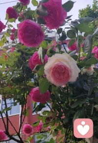 慢慢接受，有些人只能陪你走一程。
得失随缘，聚散随心，放过自己，万事皆顺！
每一次的迷茫，都是下一段人生的开端！