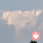 阿瓜的头像