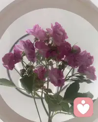 《你若拥我入怀》
你若拥我入怀， 疼我入骨， 护我周全， 我愿意蒙上双眼， 不去分辨你是人是鬼。
你待我真心或敷衍， 我心如明镜， 我只为我的喜欢装傻一程。
我与春风皆过客， 你携秋水揽星河， 三生有幸遇见你， 纵使悲凉也是情。配图