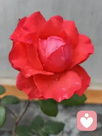 天下熙熙，皆为利来。
天下攘攘，皆为利往。
如果你有钱有权，那就不是你性格古怪，而是有个性的贵人。这不是你的问题，是世人皆如此。配图