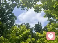 一个人活成什么样子，终究是自己的选择。
快乐和烦恼都是自己找的，我们可以选择不去参与任何人的因果，独善其身！配图