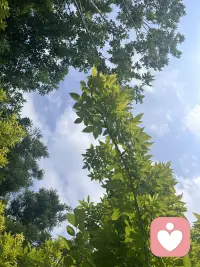 男人，多情且长情；
女人，专情且绝情。配图