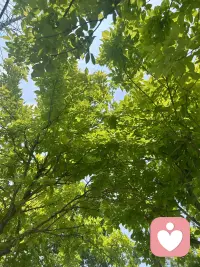 尽快结束一段糟糕的关系是对生命极大的负责！配图