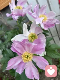 人的精神寄托可以是音乐，可以是书籍，可以是运动，可以是工作，可以是山川湖海，唯独不可以是人。配图