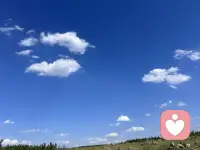 情出自愿，事过无悔，不谈亏欠，不负遇见。
一个人最大的愚蠢，就是天真地以为——真心一定能换真心。
后来才懂：
真心要给对人，深情要有底线。
不高估关系，不低估人性，
守住自己的心，才是一生最大的安稳。配图