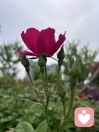 如果真的走到离婚那一步也要停下来听听第三者怎么说！
因为，​人往往是当局者迷旁观者清！配图