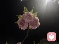 执念都是有保质期的，大多和年纪有关。什么年龄，就会执着什么事；等过了那个阶段，执念自然会过期、会消散。不必和自己较劲，不必硬要放下，时间会替你轻拿轻放。配图