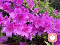 人海匆匆，总有心事无处安放
不必独自硬扛所有难过与彷徨
我在这里做你的专属倾听者
聆听你的故事，共情你的悲欢
疏导负面情绪，抚平内心焦躁
以真心相伴，陪你和自己好好相处配图