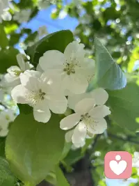 停止抱怨，是转运的开始！配图
