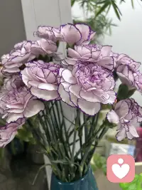 和遗憾挥手，和自己和解。
往事不回头，往后不将就。
愿每一个独自前行的人，都能被温柔听见，被用心陪伴。配图