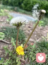 一觉醒来就是一天，
一觉没醒就是一生，
珍惜当下的每一天，
凡事都要看开想开，
接纳允许一切发生，
顺其自然不为难己。配图