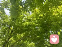 生活就是一种态度！配图
