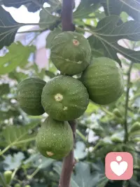 用你想让别人待你的方式去待别人收获的就都是真诚！配图