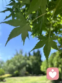 你怎样对待伴侣，孩子将来就怎样对待世界；你们夫妻的相处模式，就是孩子未来婚姻的模板。配图