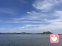 三毛说：心若没有栖息的地方，到哪里都是流浪……配图